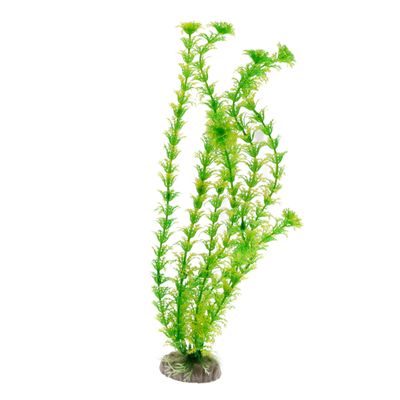 Amtra Wave A8011270 Classic Cabomba Plastic Replica, 36 cm