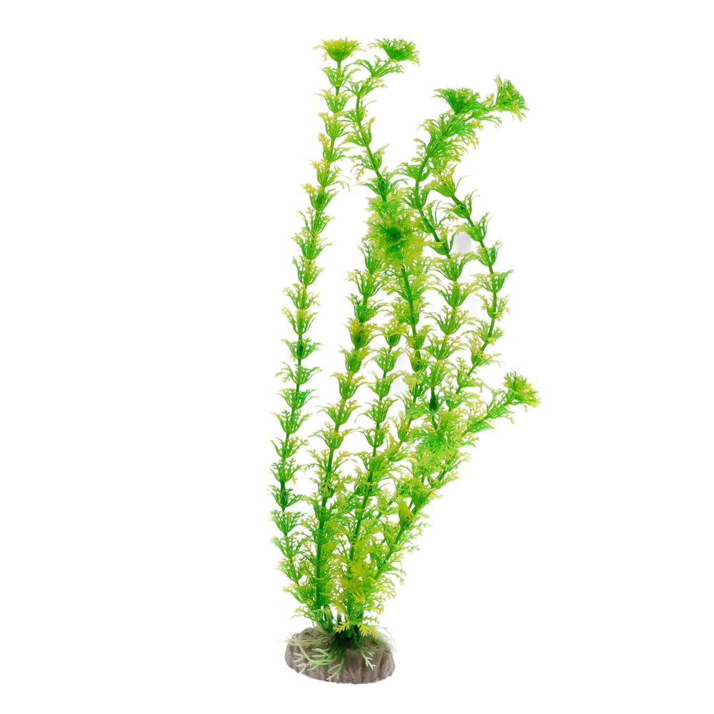 Amtra Wave A8011270 Classic Cabomba Plastic Replica, 36 cm