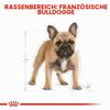 Royal Canin French Bulldog Adult | 1.5 kg | Complete Dog Food | For French Bulldogs view 3