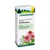 Schoenenberger Echinacea Pure Plant Juice, Coneflower, 200 ml Solution view 2