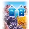 sera marin COMPONENT 2 Ca pH-Buffer 2.5 Liters view 2