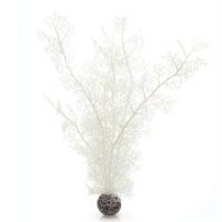 Reef One Biorb Sea Fan White (Large)