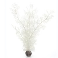 Reef One Biorb Sea Fan White (Large)