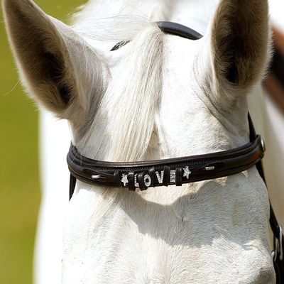 AMKA Nora Browband for Rhinestones, Black