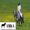 AMKA Nora Browband for Rhinestones, Black view 2