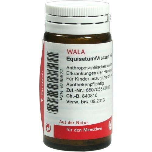 EQUISETUM/VISCUM 20 g Globules PZN: 8785822