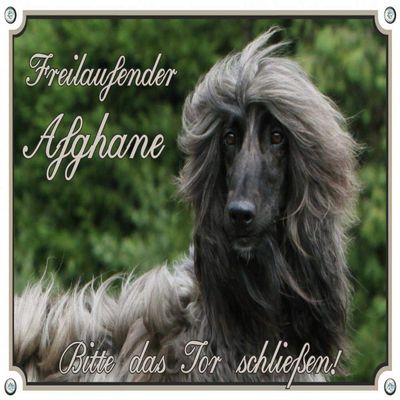 Petsigns Dog Sign – Afghan Hound – Sturdy Metal Warning Sign, DIN A4
