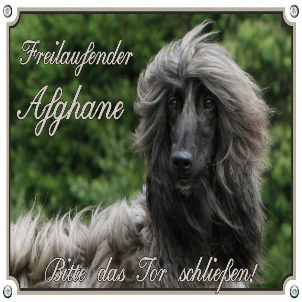 Petsigns Dog Sign – Afghan Hound – Sturdy Metal Warning Sign, DIN A4