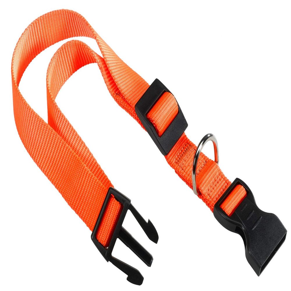 Ferplast Club C Nylon Dog Collar, 2.0 x 56 cm, Orange