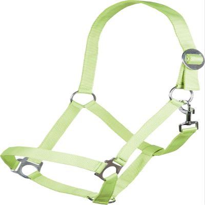 HKM Stars Economy Softice Halter Green Coldblood