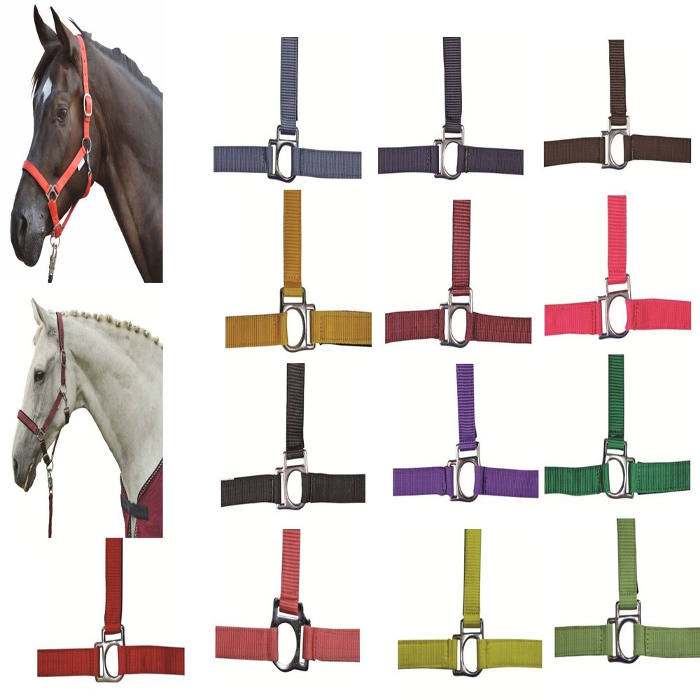 HKM Stars Halter Red Coldblood