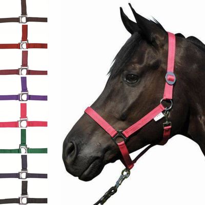 HKM Stars Economy Halter, Light Green, Warmblood