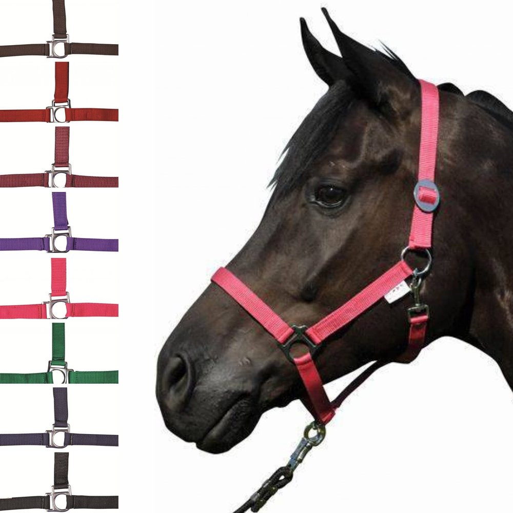 HKM Stars Economy Halter, Light Green, Warmblood
