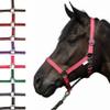 HKM Stars Economy Halter, Light Green, Warmblood view 1