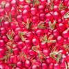 HARIBO 2 kg Bulk Bag Happy Cherry view 2