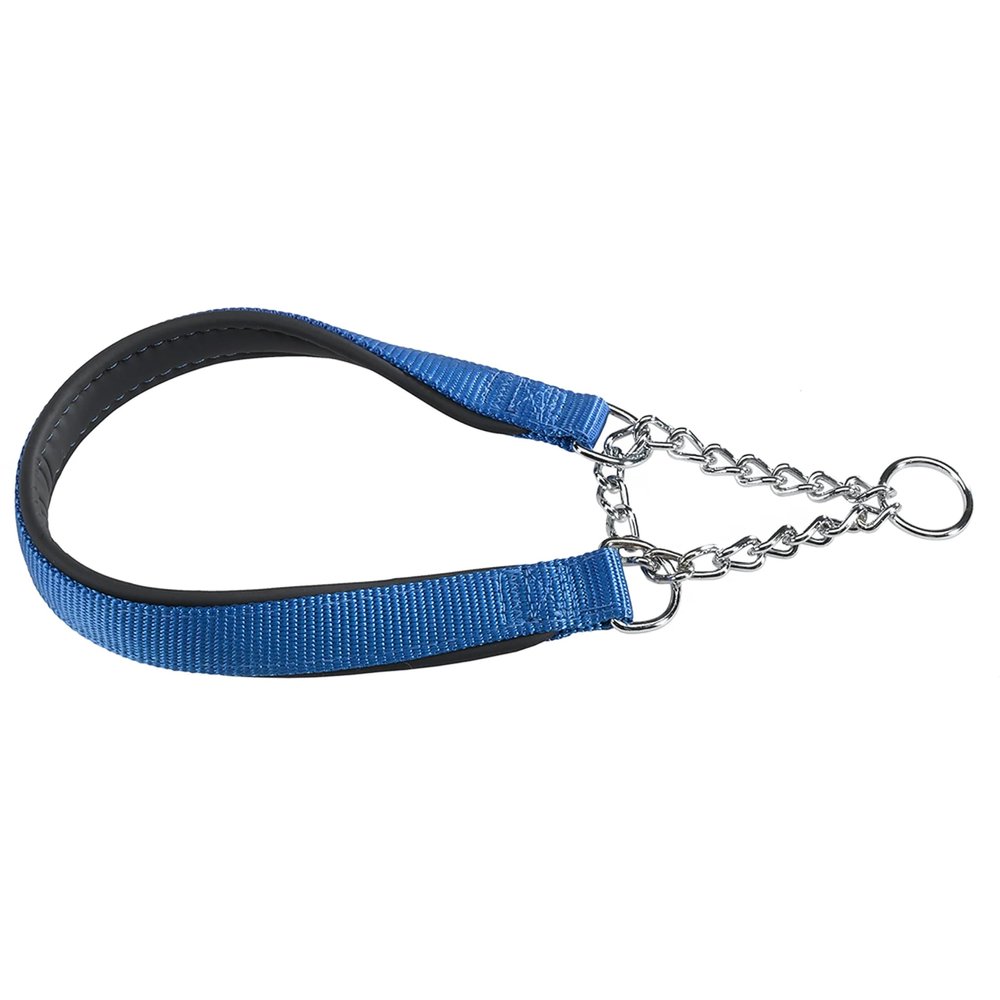 Ferplast Daytona Stop-Pull Collar, Nylon, Padded, Adjustable for Small Dogs, Easy Closure (Neck Size 28-40 cm), S, Blue