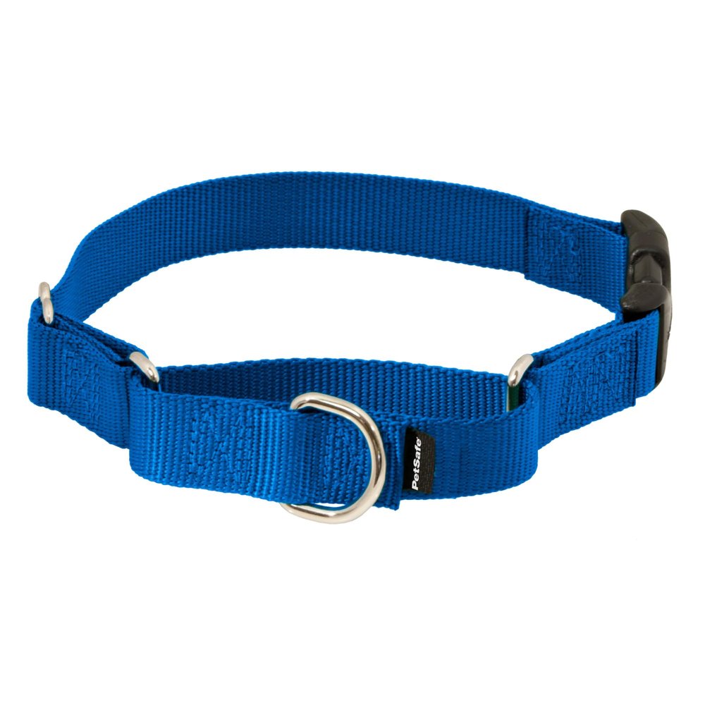 PetSafe Martingale Collar with Quick Release, 0.95 cm, Small, Royal Blue