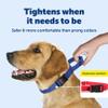 PetSafe Martingale Collar with Quick Release, 0.95 cm, Small, Royal Blue view 3