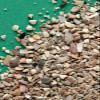 RIO Grit Mix | 520 g | Mineral Feed for Birds view 2
