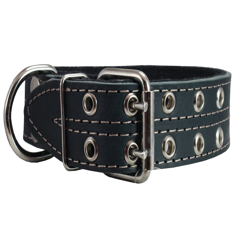 Genuine Leather Dog Collar, Padded, Black, 1.5" Wide, Fits 22.5–26.5" Neck, Great Dane/Mastiff, by Dogs My Love