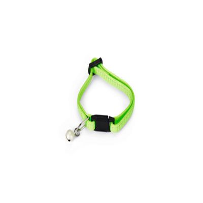 Beeztees 730382 Cat Collar, 16–23 cm x 8 mm, Neon Green