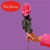 Eder Gewürze Rose Buds - 250 g / Flos Rosae view 2