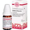 DHU Nitric Acid C6 Sugar Globules, 10 g view 2