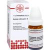 DHU Nitric Acid C6 Sugar Globules, 10 g view 3