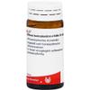 Rhus Tox e Fol. D6 WALA Globules, 20 g view 1