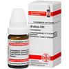 DHU Silicea LM XVIII Homeopathic Pellets, 5 g view 3