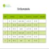 Compressana Calypso 140 den Support Pantyhose, 15–18 mmHg, Size III, Petrol, 1 Pair view 3