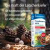 Klosterfrau Franzbranntwein Mountain Pine | 400 ml Dosing Bottle | Relieves Pain | Promotes Circulation | Relaxes Muscles | For Muscle and Joint Pain view 2
