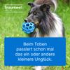 Traumeel T ad us. vet. 500 Tablets, Natural Veterinary Medicine view 2