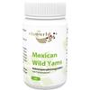 Vita World Mexican Wild Yams 500 g, 60 Capsules view 1