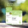 Pascoe Gripps SL Drops: for Colds, Sore Throat & Cough Irritation, with Eucalyptus, 50 mL view 4