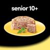 Cesar Vital 10+ Dog Food with Tender Chicken and Rice, 24 Trays (24 x 150 g) view 3