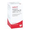 ECHINACEA E planta tota D 6 Globules, 20 g view 1