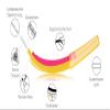 EDELWHITE pro Interdental Brushes SSS 0.45–2 mm, 6 ct view 2