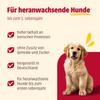 animonda GranCarno Junior Wet Dog Food, Beef + Chicken (6 x 800 g) view 2