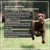SALiNGO Joint Active Powder for Dogs and Cats, 375g view 2