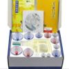 Kangzhu 12-Cup Biomagnetic Chinese Cupping Therapy Set view 1