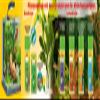 sera flore 3 vital 50 ml - Micro Fertilizer view 3