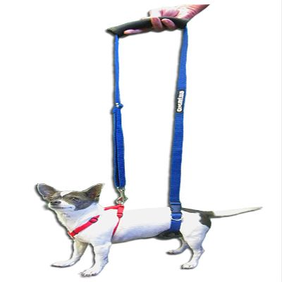 GingerLead Dog Support & Rehabilitation Harness – Mini Sling