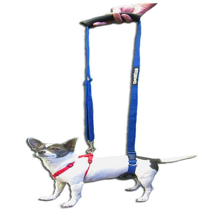GingerLead Dog Support & Rehabilitation Harness – Mini Sling