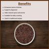 Brown Mustard Seeds (Rai) - 50 g view 3