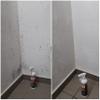 CleanPrince 0.5 L Chlorine-Based Mold Remover | Mold Stain Cleaner view 3