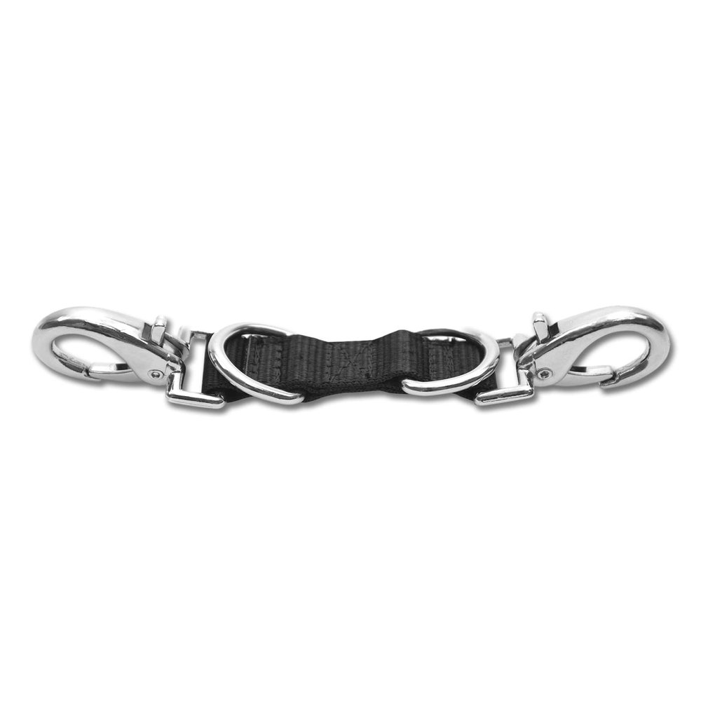 Lunge Bridle Double