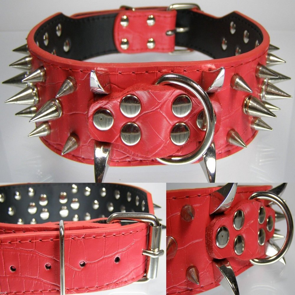 Power Stud Dog Collar with Silver Studs, Red, 5 cm Wide, 59 cm Long