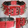 Power Stud Dog Collar with Silver Studs, Red, 5 cm Wide, 59 cm Long view 1