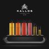 Kallos Lab35 Conditioning Milk for Brittle Hair, 300 ml view 3